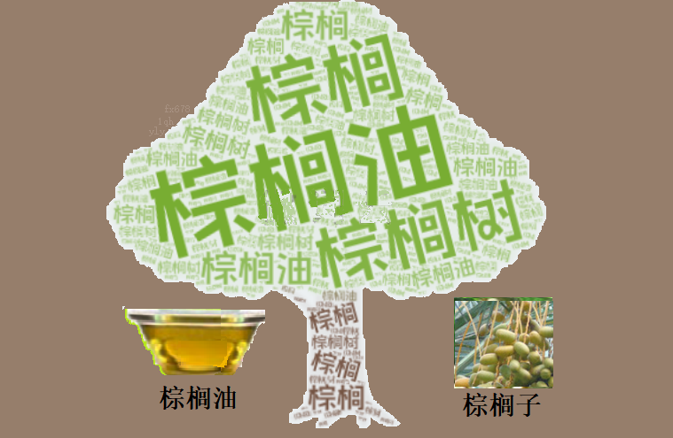 巴菲特对特朗普的关税政策发表罕见看法，指出惩罚性关税会导致通货膨胀并损害消费者的利益。他认为关税在某种程度上类似于战争行为，并表示随着时间的推移，这些关税实际上就是对商品的征税。他还幽默提到，牙仙不会为这些关税买单，并强调在经济学中重要的是要考虑其后果。